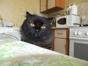 Фотография Антоновой Марии