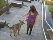 Фотография Брылевой Дианы