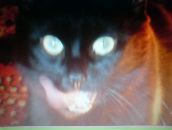 Фотография Власовой Марины