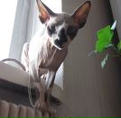 Фотография Косаревой Натальи