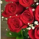 Іра Сакундяк фотография #40 (источник - https://vk.com/id35307343)