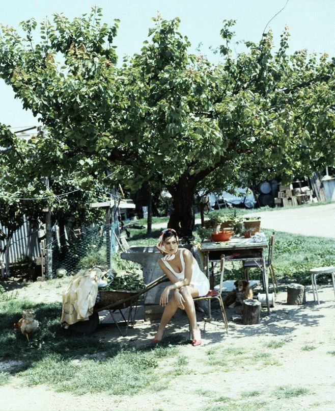 Дон Педро фотография #19