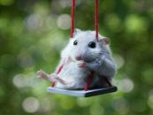 Фотография Компанеец Евгении