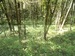 Яна Дементьева фотография #30 (источник - https://vk.com/id155675480)