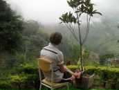 Фотография Бреклева Алексея