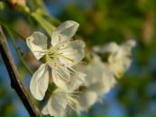 Іван Бакуш фотография #30 (источник - https://vk.com/id49792389)