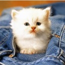 Діана Береза фотография #22 (источник - https://vk.com/id157656163)