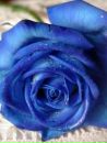Юлія Кухтей фотография #25 (источник - https://vk.com/id152940274)