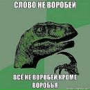 Фотография Borzoy Ильи