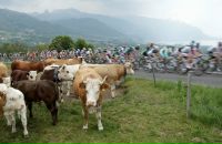 Фотография Роганова Сереги