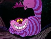 Фотография Савченко Константина