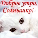 Віка Безкровна фотография #19 (источник - https://vk.com/id122438488)