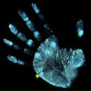 Фотография Ковальчука Ивана