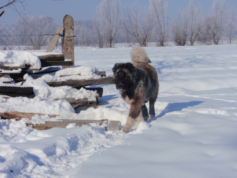 Ostap Кирик фотография #24