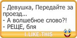 Коля Світик фотография #1