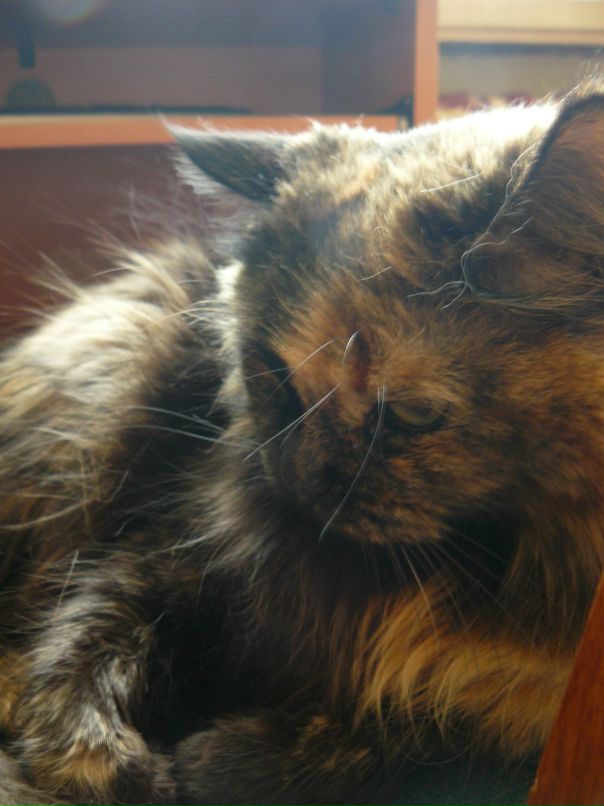 Мотя Норматова фотография #5