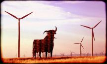 Фотография Парфенова Алексея