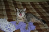 Фотография Понамаревой Кэт