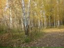 Фотография Пролеева Игната