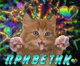 Фотография Сапрыкина Никиты