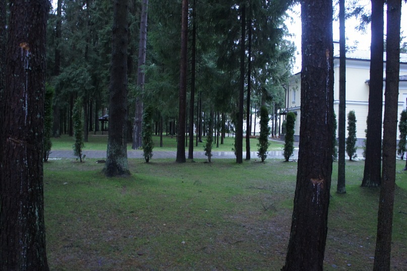 Виктор Леонов фотография #31