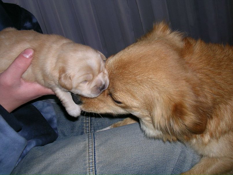 Дмитрий Бурлаков фотография #22