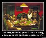 Фотография Иванова Василия