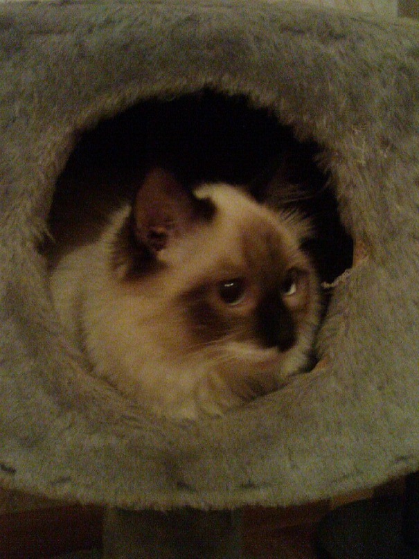 Евгений Никитенко фотография #2