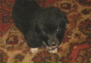 Надія Велика фотография #20 (источник - https://vk.com/id13428126)