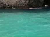 Галинка Ігнатенко фотография #42 (источник - https://vk.com/id20776735)