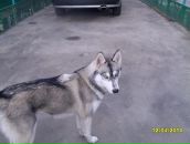 Евгения Дарий фотография #8 (источник - https://vk.com/id2201000)