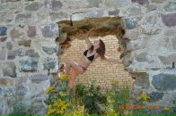 Фотография Хановой Светланы