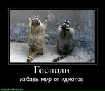 Таміла Пацьорка фотография #23 (источник - https://vk.com/id41547798)