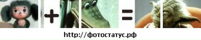 Роман Іллюк фотография #14 (источник - https://vk.com/id75688151)