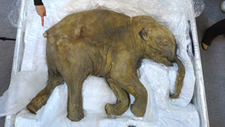 7 Жутких Вещей Найденных во Льдах