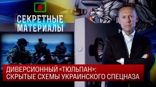 Секретные материалы. Диверсионный «Тюльпан»: скрытые схемы украинского спецназа